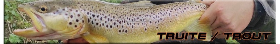 Best trout lure: soft lure, hard lure. Fishing for trout