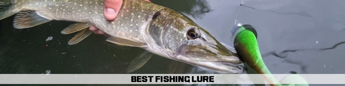 best fishing lure
