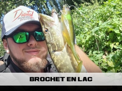 Brochet en lac : pêcher de gros brochets au leurre !
