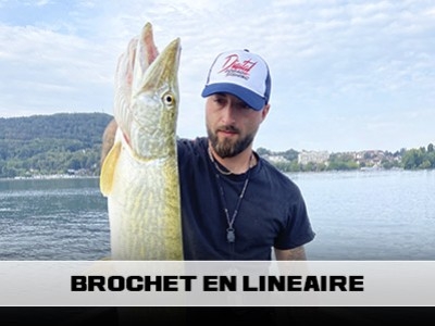 Brochet en linéaire : comment bien pêcher au leurre ?