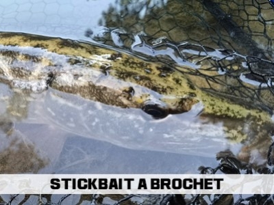 Stickbait à brochet: comment bien pêcher au stickbait ?